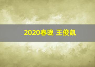 2020春晚 王俊凯